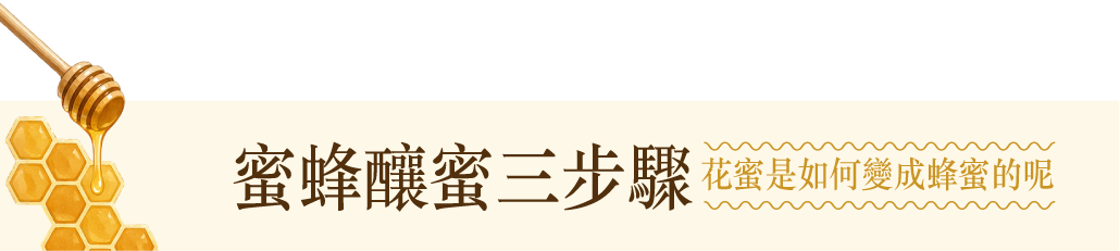 9.png